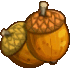 acorn