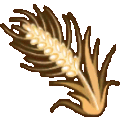 barley
