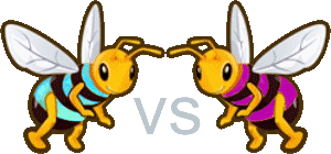 Bee vs Bee