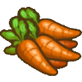 carrot