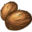 coconut