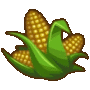 corn