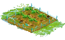 Fertile Almond Orchard