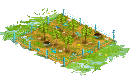 Fertile Apple Orchard