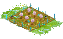 Fertile Cherry Orchard