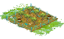Fertile Peach Orchard