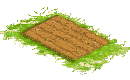 Field