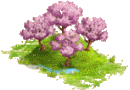 Free Range Cherry Orchard