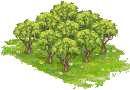 Free Range Peach Orchard