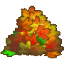 leaves