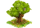 Ornamental tree