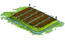Premium Field