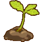 sapling