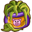 seapig