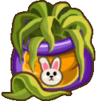 searabbit