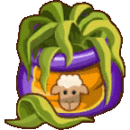 seasheep