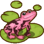 Toad on lily pad