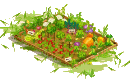 Vegetable patch