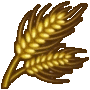 wheat
