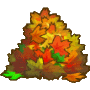 leaves
